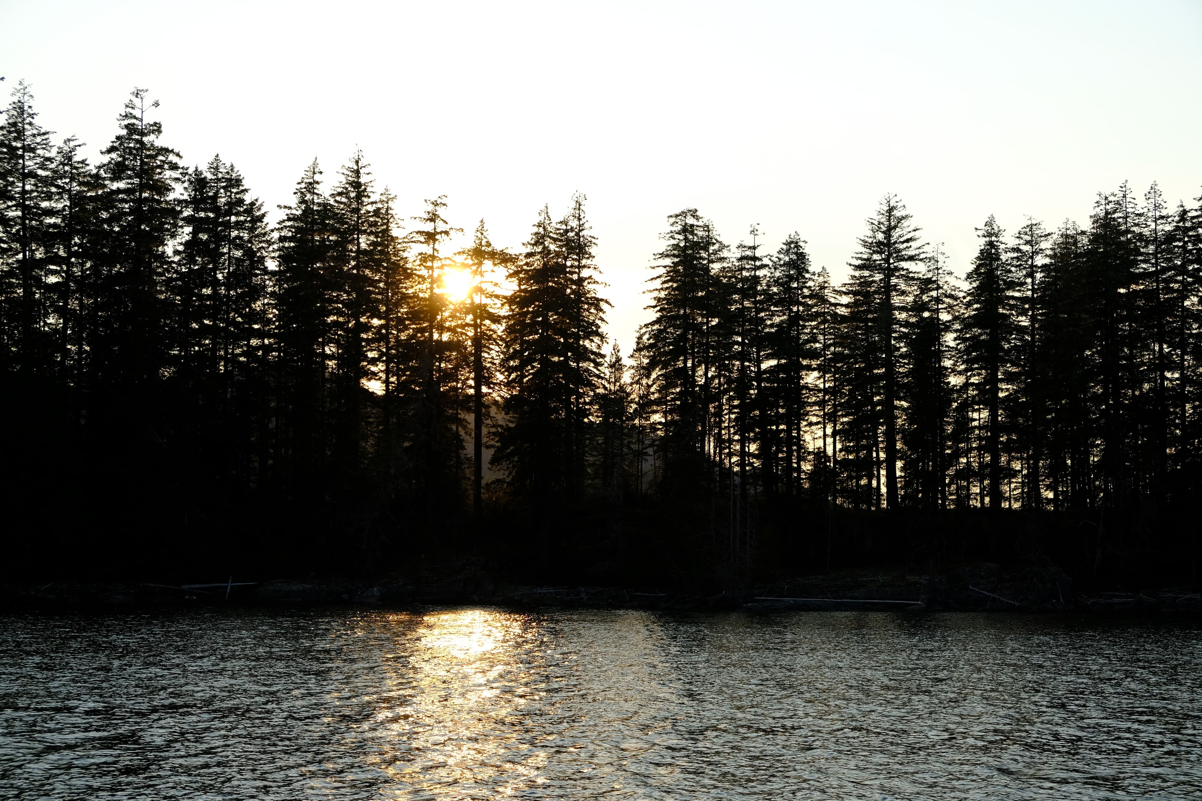 Dinghy sailing in Handfield Bay